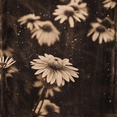 Mathieu Boogaerts - Avant Que Je M'ennuie (Herhangi/Edit)