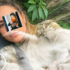 FULL ORIGINAL PORTAL ZACARIAS DIABA LOIRA FOI MORTA