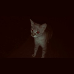Red Eyes