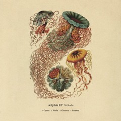 Jellyfish [Full EP]