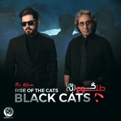 Black Cats - Emshab