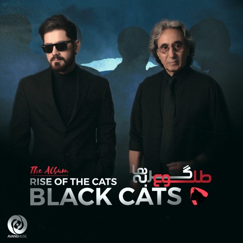 Black Cats - Saraab