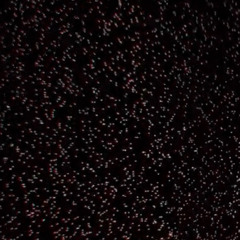 lucki - y not? sped up