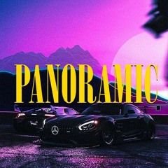 ~ P a n o r a m i c