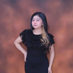 Silusereng Peddi - VVIP Bergetar [ RASSIDREMIXER X DJ ARINI ]#Private