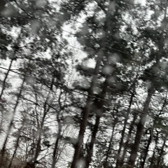 LAYEDINTHEGRAVE [PROD.SIXXNIGHTSS]
