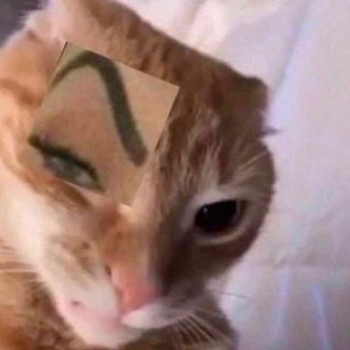 Little Dark Age - Mgmt