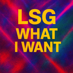 LSG-What i Want Mastered
