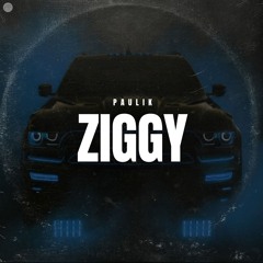 Paulik - Ziggy