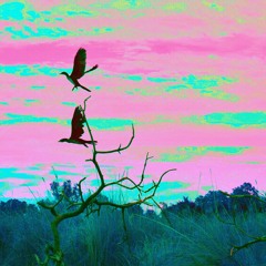 SlewRate - Ajuru [Afrobeat/AfroSwing]