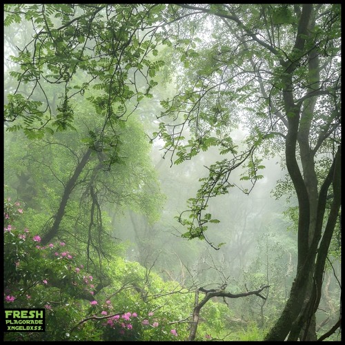 Fresh (with PLAGORADE)