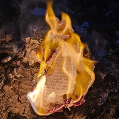 The Wolf (Hop Along)