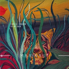 MAXINAUT - CURA EL CORAZÓN