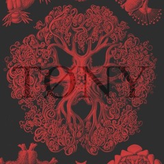 Convocatoria dj contest / Random / Privat