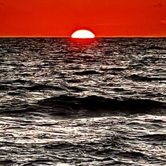 the unexpected result (prod. bloom)