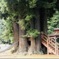 Eureka Come Out And Play Day Saturday July 27th