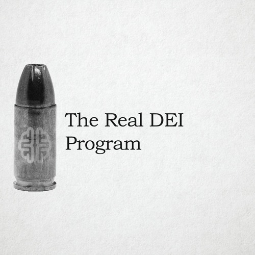 The Real DEI Program