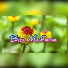 Bio Mafana (#LP8/Mac10.13/Invité Édition)