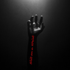 Slit on a Wrist (prod. Flexus)