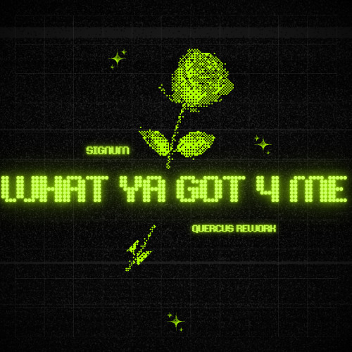Signum - What Ya Got 4 Me (Quercus Edit) - FREE DOWNLOAD