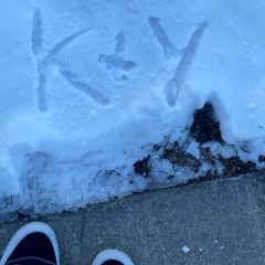 like a band (prod. joffy)