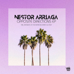 Nestor Arriaga - Opposite Directions (Nicolas Duvoisin Remix)