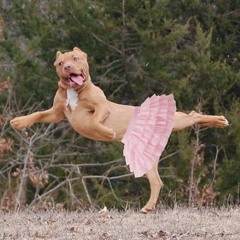 DNB COVID 19 LOCKDOWN