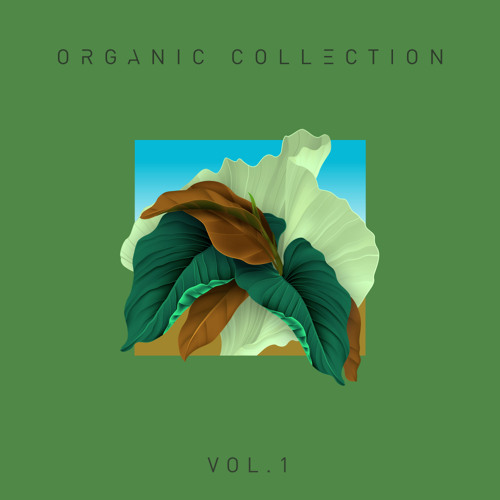 Dancefloor techno, tech house and deep house