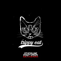 Trippy Cat Techno
