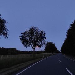 The long road ahead of me