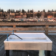 This Town Ain't Big Enough for the Both of Us (orig. Sparks)