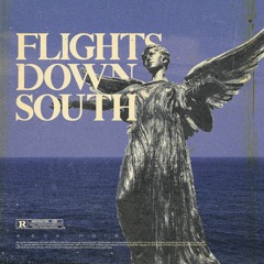 Flights Down South