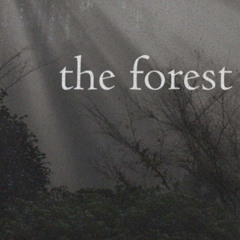 the forest (naviarhaiku592)