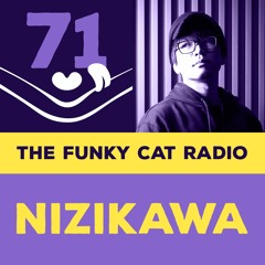 The Funky Cat radio #71 ⛩️ Nizikawa guestmix (May 2022)