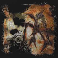 Kat Nzingha - Insula (Original Heme Edit)