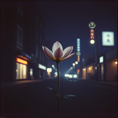 Midnight Bloom (The Unfolding)