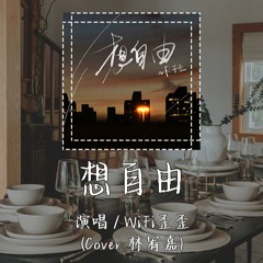 WiFi歪歪 -  想自由 (Cover 林宥嘉) 「我不晓得我不舍得 为将来的难测就放弃这一刻」【動態歌詞/pīn yīn gē cí】