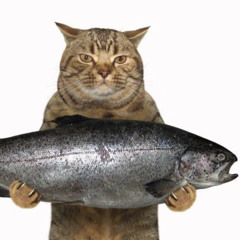 Boxxy's 4 Billion IQ Bassline 100% Mix