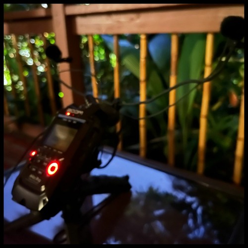 Stream Night In Kona With Coqui Frogs And Fountain On The Big Island by