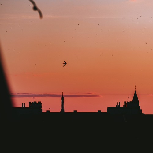 Digital Organix - Rooftops