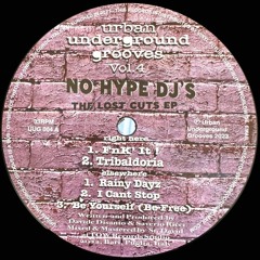 PREMIERE: No Hype DJ's - FnK' It [UUG004]
