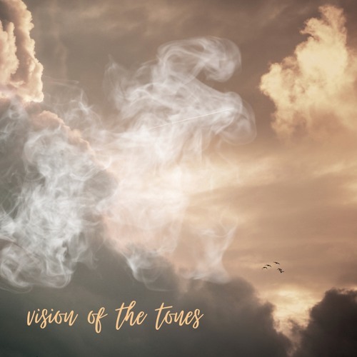 Vision Of The Tones