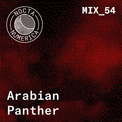 Nocta Numerica Mix #54 / Arabian Panther