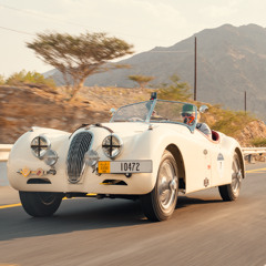 'Mille Miglia' Rally Driving Through Sharjah Safari Park (25/11/25)