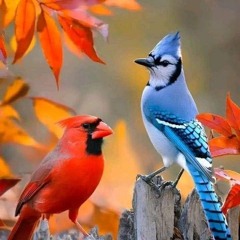 computer Love gone wrong