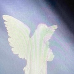 aeon01: consciência unifocalizada w/ ANIMA & e6c41