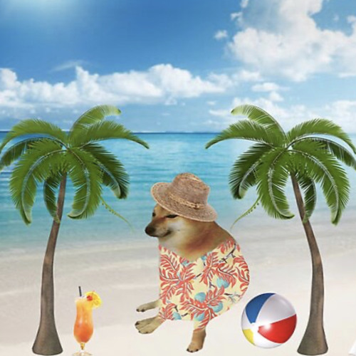 OxXOmniPotentXxO - #DOGEDANCE  EP