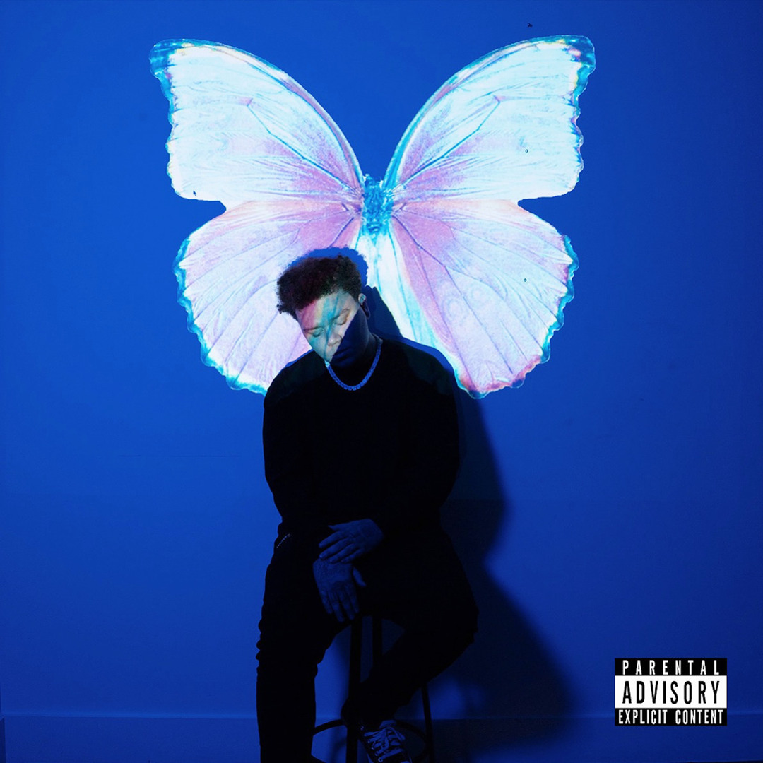 Stream PHORA | Listen to The Butterfly Effect playlist online for