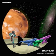 DJ Matt Black - Another Dimension