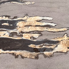 Zeds Dead- Lost Birds HVLCYON Remix)